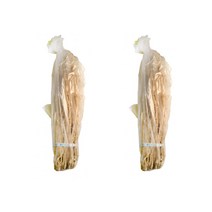 황기 소사이즈 국내산 한방재료 약령시장 100g 2단, 단품, 단품
