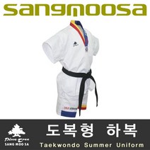어린이 아동 태권도반티 반티 태권도도복 할로윈 웃긴 튀는 특이한