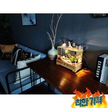 어항 수조 관상용새우키우기 화분 거실 열대어 22년, 02