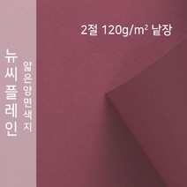 뉴씨플레인 종이문화 얇은 양면색지 120g 2절 낱장 1매 No.69 청적, 1장