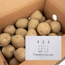 강원도 정품 채종 씨감자 수미 10kg 보급종 감자씨