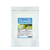 대용량 유청단백질 프로틴 파우더 보충제, 1개, 500g