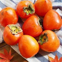 감중의 왕 고당도 대봉감 3kg 10kg 대과 특대과, 01_대 3kg(12~14과)