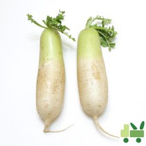 사라상회 흙무 (상) 15kg