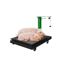 판수동저울 고물상 공장 정미소 가축 200kg 500kg, 44x33cm 200kg
