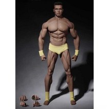 아놀드 슈워제네거 실리콘 피규어 모형 근육 바디