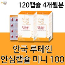 안국 건강 제약 루테인 미니 100 안심 캡슐 알약 남성 여성 남자 여자 20대 30대 40대 50대 60대 눈건강 눈노화 눈피로 침침한눈 에도움되는 건강기능식품 +알약케이스증정, 2박스4개월분(인기할인)
