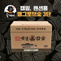 SN월드 캠핑 숯 바베큐 참숯 번개탄 장작불 바로타 아래로타숯 40개입(랜덤출고), 1개