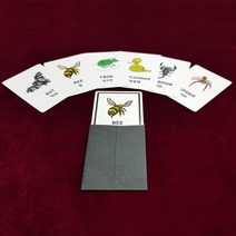 애니멀프리딕션카드(고급형)(Animal Pre-Diction Card Premium Type) 어린이교육마술, 상세페이지 참조