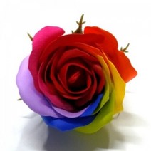 프리미엄 비누장미 - 무지개 비누장미 빨강무지개 25개 1세트(꽃대포함) - 비누꽃 만들기 조화 꽃다발 부케 원데이클래스 스냅촬영 소품