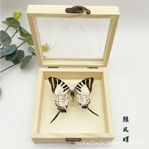 동상 조각상 실제 나비 표본 디스플레이 어린이 교육용 무대 과학 생일 선물, 26.7