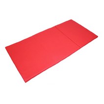 학교 체육 수업 교구 3단 접이식 매트 신체활동놀이 신체놀이