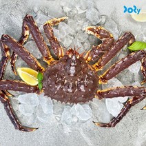 도리마켓 노르웨이 활 레드 킹크랩 1.8~2kg 1마리 -인증