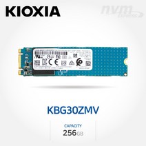 KIOXIA NVMe SSD 256GB (KBG30ZMV) 벌크 미사용제품, KBG30ZMV