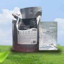 디디에즈 머드 모델링팩 1000g+팩파우더 100g, 1개