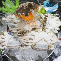 [산지직송] 알배기 몽당꽃게 알배기 절단꽃게 최상급 숫몽당 숫절단, 알배기 암몽당 꽃게, 4kg, 1개