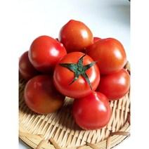 토마토 스테비아 토망고 슈가 토마토 설탕 토마토 500g 1kg, 대추방울토망고 500g