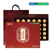 침향 공력환 홍삼 어르신 노인기력회복 기운없을때 첫인사 추석 명절선물, 60환1+1