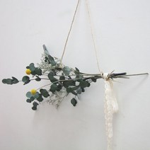 더봄 유칼립투스와 골든볼 갈란드 (프리저브드), 단품