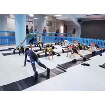 슬라이드 보드 180x50cm 실키 밸런스 트레이닝 매트 레그 슬라이딩 W/캐리 백, PP, 검정