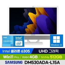 삼성전자 올인원PC DM530ADA-L15A 사무용 인강용 가정용 가성비 일체형PC (셀러론/UHD그래픽/윈도우11 Pro), 512GB, 4GB, 윈도우 포함