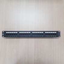 LS전선 CAT.5E 24PORT 패치판넬 19인치 랙용 24포트, 1개, LS전선  CAT.5E 24PORT 패치판넬