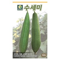 대찬 시금치 20g 시금치씨앗 시금치씨 채소씨 채소씨앗 야채씨앗 야채씨, 14_다농_수세미(10립)