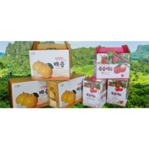 조치원 배즙 복숭아즙 120ml 50포 100포, 복숭아즙100개