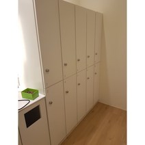 멀티가구 LPM 화이트 학교 학원 사무실 회사 병원 당구장 2단 락카장 캐비닛, LPM 메이플, 단추손잡이