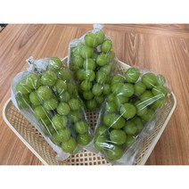 [당일경매 배송] 샤인머스켓 (Shine muscat) 2 / 4kg, (특1등급) 샤인머스켓 2kg 3-4수