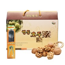 친환경팔도 [생산자직송] 무농약 영동 호두(피호두) 1kg+호두망치 증정, 단품