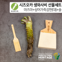[와사비가게 선물세트] 시즈오카 마즈마 생와사비+상어가죽강판(대)+와사비전용 대나무솔, 60g