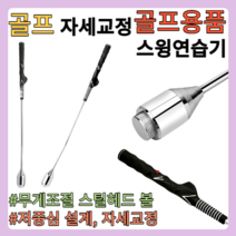 골프용품 골프채 입문 연습기 자세교정/스틱/연습채/분석기/스윙연습기, 골프스윙연습기