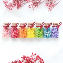 상상꽃 프리저브드 안개꽃 미니 유리병 드라이플라워 꽃병 화병 인테리어 소품 소소한 선물 납골당, 분홍