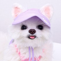 티아라펫 데이지 모자, 퍼플