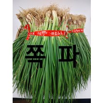쪽파 보성 흙쪽파 가랑파 실파 1단 (1.5kg 내외) 야채맘, 1.5kg, 1개