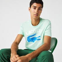 라코스테 레귤러핏 XL 악어 프린트 그린 티셔츠 반팔 상의 Regular Fit XL Crocodile Print T-Shirt