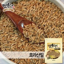맛봉달 2020년 카무트쌀 호라산밀 고대이집트밀 슈퍼곡물 통밀 터키산, 500g