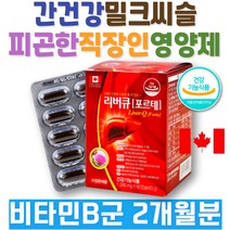 피곤할때 활성비타민 실리마린 밀크씨슬 효과 간건강 영양제 비타민B군 추천 개선에좋은 건강기능식품