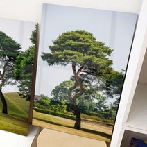 [바보사랑] 아크릴액자_우뚝선소나무(대형), 타입선택:1.재물