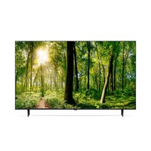 [엘지전자(가전)] ○[1등급][65] LG 울트라 HD TV 163CM (65UR9300, 형태:스탠드