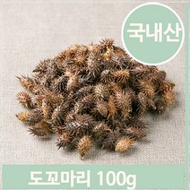 푸들 국화과 약초 창이자 100g 도꼬마리 열매 건강 한방 (7563846), 기본