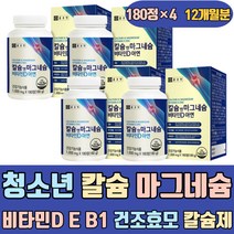 청소년 칼슘 마그네슘 비타민D E B1 건보효모 칼슘제 칼마디아 칼맥 칼마 칼마그 프리미엄 고관절 무릅 무릎 발목 파우더 고칼슘 에좋은음식 이많은음식 하루권장량 쏙쏙 허리 코어
