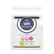 대명식품 분리유청단백질 초코맛, 1개, 1kg