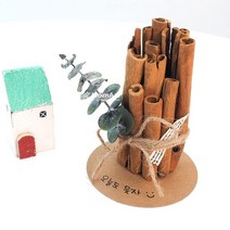 DIY 시나몬 계피 스탠드 만들기 여름 모기, 없음