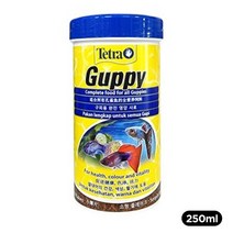 초록끈 테트라 구피푸드250ml, one color/free