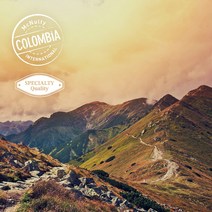 [맥널티 생두] 콜롬비아 산타 페 핑크 버번 Lactic (Natural), 5kg, 1개