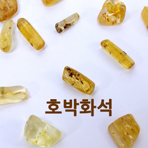 호박화석/5pcs - 33973