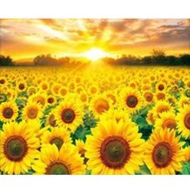 JISAN 보석십자수 캔버스형 세트 50x40cm JB01, 황금해바리기 마을