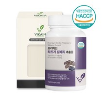 차즈기추출물 국내산 차즈기 자소엽 차조기 루테올린 눈 건강 유기농 빌베리 분말 가루 알약 정 식약처 해썹 인증, 차즈기 빌베리 120정  1통